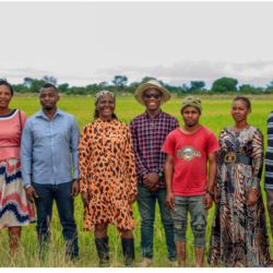 Social Capital proves critical to success of System of Rice Intensification (SRI) farming in Tanzania
