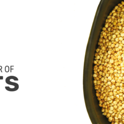 International Year of Millets 2023: Unleashing the potential of millets for the well-being of people and the environment