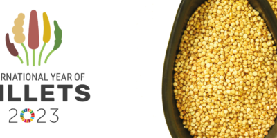 International Year of Millets 2023: Unleashing the potential of millets for the well-being of people and the environment