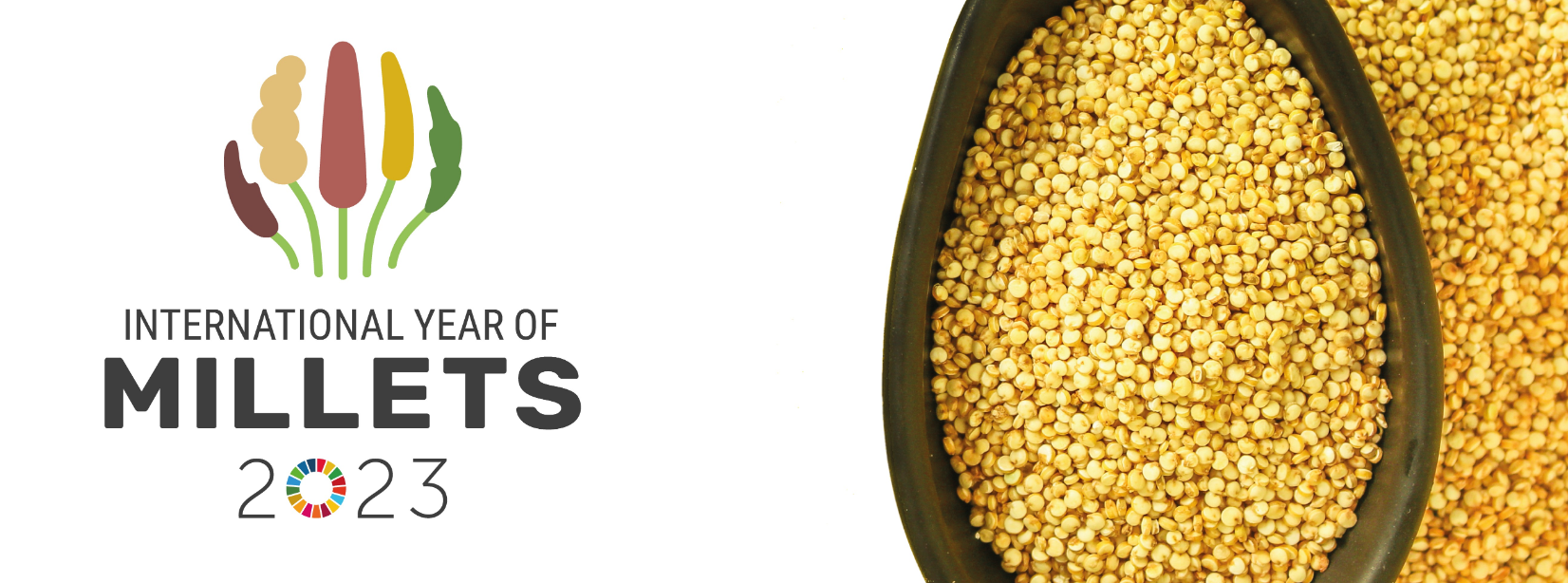 International Year of Millets 2023 Unleashing the potential of millets