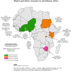 Mapping digital agriculture strategies in Africa
