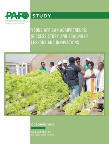 Young African agripreneurs: Success story and scaling up lessons and innovations