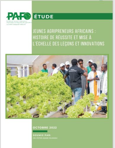 Jeunes agri-preneurs Africains : Histoires de réussite et mise à l’échelle des leçons et des innovations