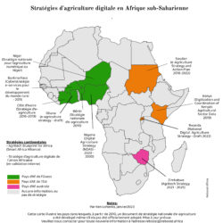 Cartographie des stratégies d’agriculture digitale en Afrique