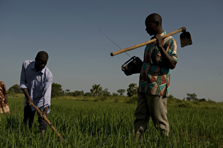 Sharing knowledge with family farmers across Africa through a radio awareness campaign
