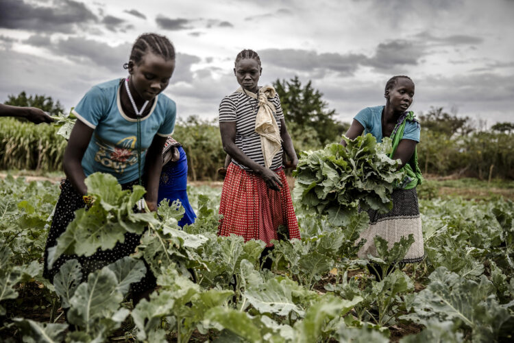 Des jeunes agriculteurs familiaux des 5 continents travaillent ensemble pour promouvoir la mise en ouevre de la Décennie des Nations Unies pour l'agriculture familiale