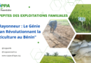 Seeder: The ingenious farming tool revolutionizing rice farming in Benin
