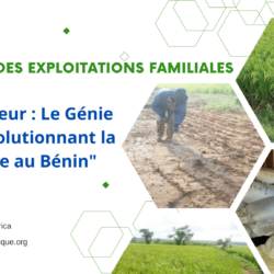 Seeder: The ingenious farming tool revolutionizing rice farming in Benin