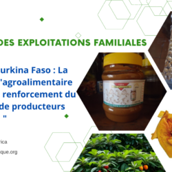 Gebana : La révolution de l’agroalimentaire et le renforcement du réseau de producteurs au Burkina Faso