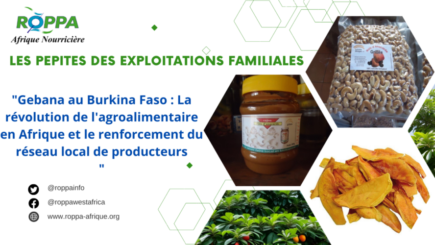 Gebana : La révolution de l’agroalimentaire et le renforcement du réseau de producteurs au Burkina Faso
