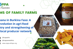 Gebana: A revolution in agri-food industry and strengthening producer network in Burkina Faso