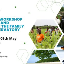 ROPPA defines strategic directions for the Family Farming Observatory during a regional workshop