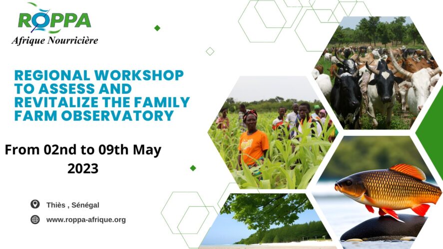 ROPPA defines strategic directions for the Family Farming Observatory during a regional workshop
