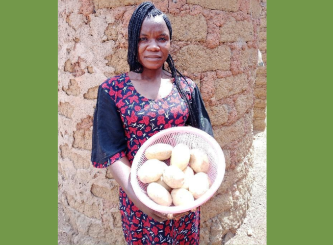 Timely broadcasts yield better potato harvests in Nigeria