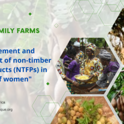 Green Revolution in Mali: The Triumph of Non-Timber Forest Products (NTFP) Management and Valorization by Women