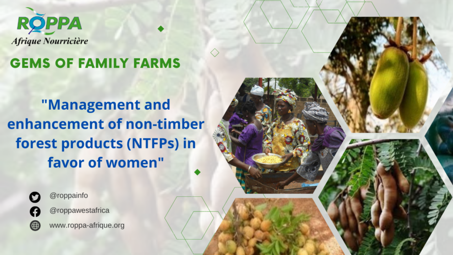 Green Revolution in Mali: The Triumph of Non-Timber Forest Products (NTFP) Management and Valorization by Women