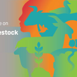 Call for Proposals - FAO Exhibition on Sustainable Livestock Transformation: 25-29 September 2023