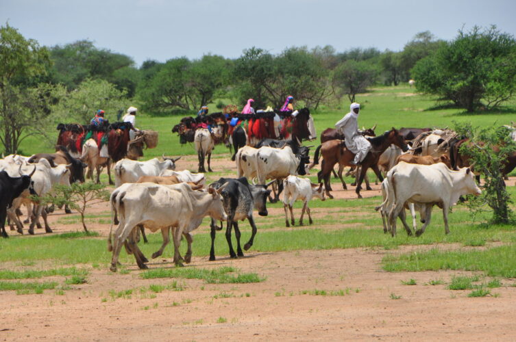 Review of Actions Undertaken for Peaceful Transhumance in West Africa