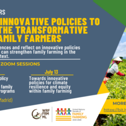 Global webinars: Towards innovative policies to enhance the transformative role of family farmers