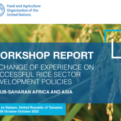 Rapport d'atelier : Échange d'expériences sur les politiques réussies de développement du secteur du riz en Afrique subsaharienne et en Asie