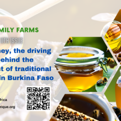 The Gourma Honey: A model of sustainable development and prosperity