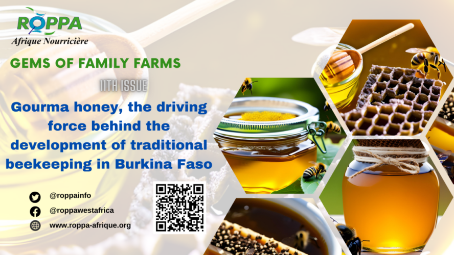 The Gourma Honey: A model of sustainable development and prosperity