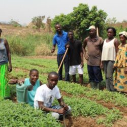 Les jeunes de Bangui sont les références en matière de techniques agricoles en République centrafricaine.