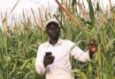 Digitalizing agriculture in rural Senegal