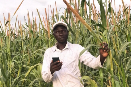 Digitalizing agriculture in rural Senegal