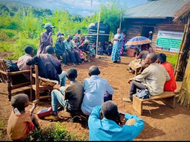 Les pygmées de la RDC : une voix à faire entendre