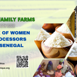 The Processed Rice of Senegal: The Epic Journey of UJAK’s Women