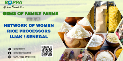 The Processed Rice of Senegal: The Epic Journey of UJAK’s Women