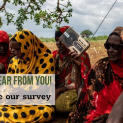 Take our survey: How would you like to engage with YenKasa Africa?