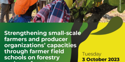 Save the date: Strengthening small-scale farmers and producer organizations’ capacities through farmer field schools on forestry and agroforestry Save the date: Strengthening small-scale farmers and producer organizations’ capacities through farmer field schools on forestry and agroforestry