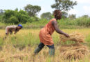 Sharing farmers’ stories on World Food Day – and every day