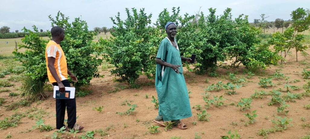 Sahel farmers embrace innovative technologies to boost agriculture