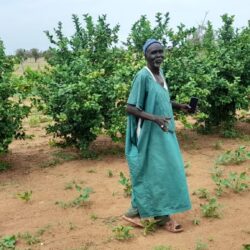 Les agriculteurs du Sahel adoptent des technologies innovantes pour stimuler l'agriculture