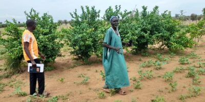 Sahel farmers embrace innovative technologies to boost agriculture