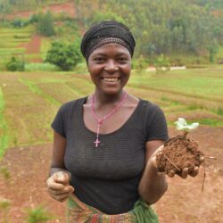Identifier les opportunités pour les jeunes dans les systèmes agroalimentaires en Afrique.