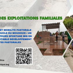 L’eau, source de vie et d’harmonie : Le triomphe de la cohésion sociale dans la boucle du Mouhoun au Burkina Faso