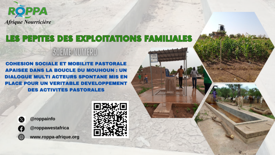 L’eau, source de vie et d’harmonie : Le triomphe de la cohésion sociale dans la boucle du Mouhoun au Burkina Faso
