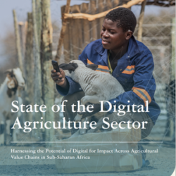 State of the Digital Agriculture Sector: Harnessing the Potential of Digital for Impact Across Agricultural Value Chains in Sub-Saharan Africa