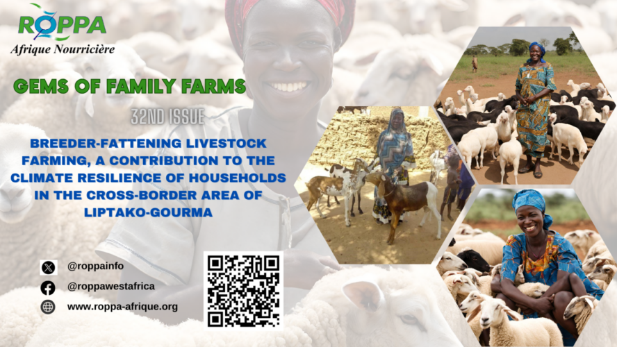 Reinventing agropastoralism: Breeder-fattening livestock farming, a light in the climatic darkness of Liptako-Gourma