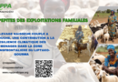 Réinventer l’agropastoralisme : L’élevage naisseur-embouche, une lumière dans l’obscurité climatique du Liptako-Gourma