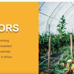 Launch of “AGRINNOVATORS.ORG”: A hub for African Agri-food Innovators