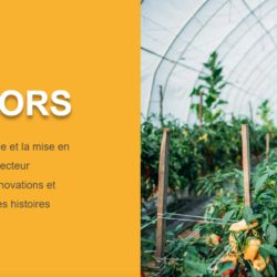 Lancement « AGRINNOVATORS » : Un espace pour les innovateurs Africains dans le secteur agroalimentaire