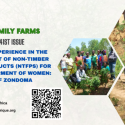 From foliage to fortune: The empowerment of women in Zondoma through non-timber forest products (NTFPs)