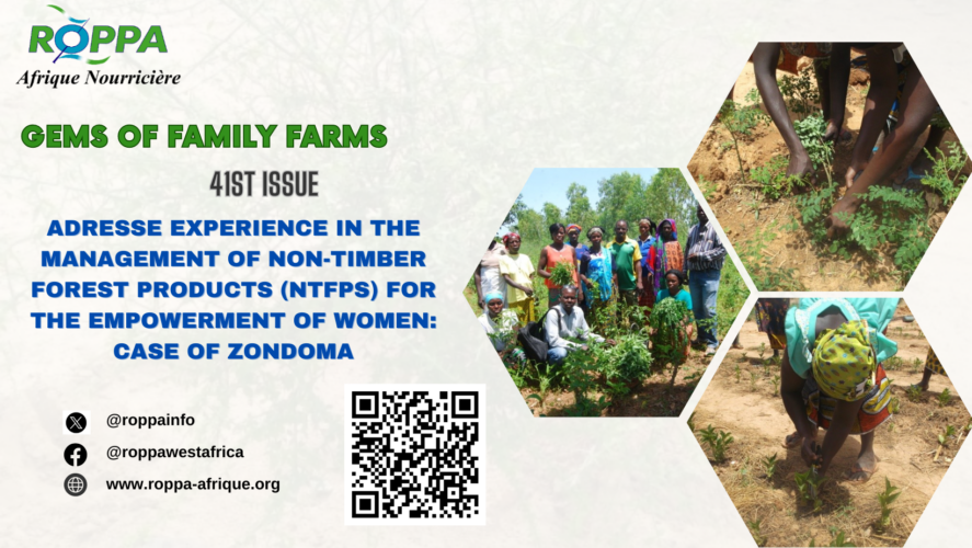From foliage to fortune: The empowerment of women in Zondoma through non-timber forest products (NTFPs)