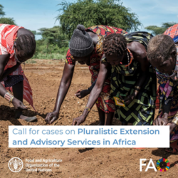 A call for cases on pluralistic extension and advisory services in Africa