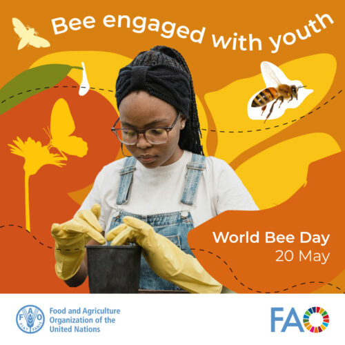 Special feature: World Bee Day 2024 - Bee engaged with youth